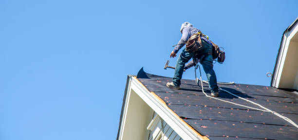 Best Roof Gutter Cleaning  in Paris, TX
